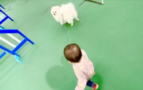 振り返り…