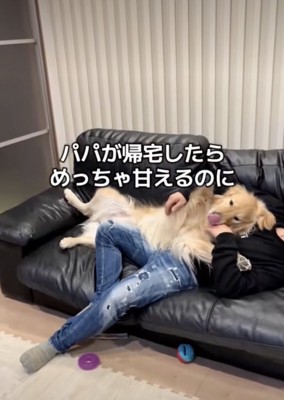楽しそう！！