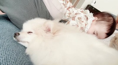 一緒に