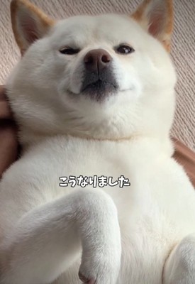 余裕溢れる表情にホッコリ