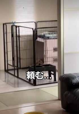 変化なし。