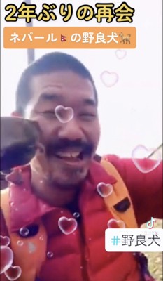 近くで寄り添う犬