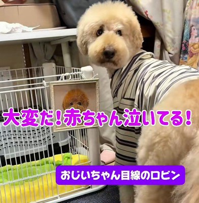 赤ちゃんとの出会い