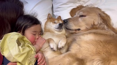 並んでスヤスヤ…