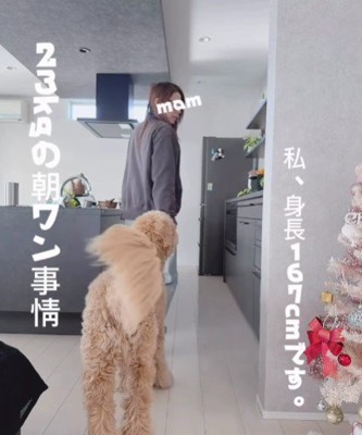 あぐらちゃんの朝の日課