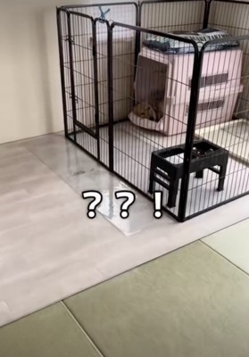 ママも衝撃