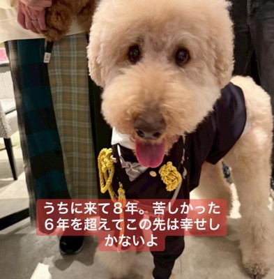 現在の姿に感動