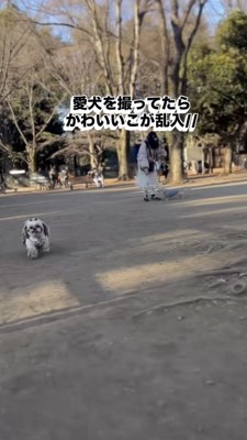 『キミもうちの子にならないか』公園で犬を撮影していたら…『まさかの乱入者』の登場が102万再生「フンフンって音好きｗ」「たまらん」 と絶賛