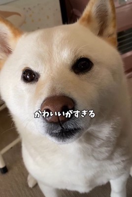 とっても可愛いはるちゃんでした