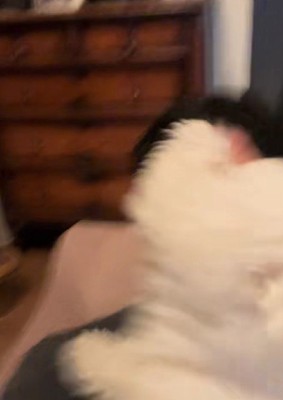 不意打ちの第二波!!