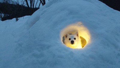 かまくら