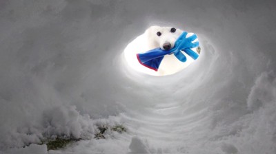 かまくら