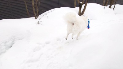 手を伸ばす