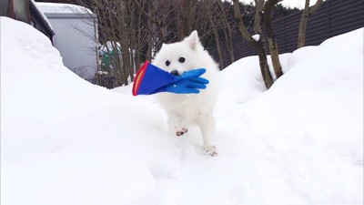 手袋