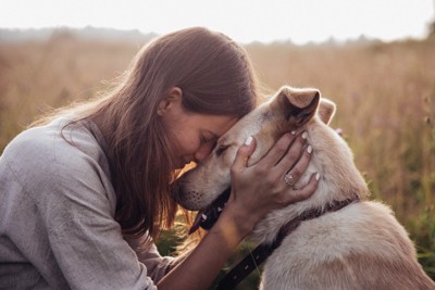 犬と額を合わせる