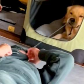 パーカーを着ている男性→大型犬に『ヒモ』を引っ張られてしまい…爆笑必至な『まさかの攻防戦』が17万再生「最後ｗｗｗ」「戦い方わかってる」