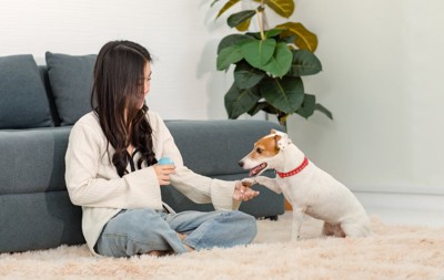 仲良しの飼い主と犬