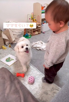 リリちゃんと赤ちゃん7