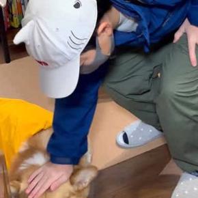 小学校へ行く男の子→なぜか犬がふてくされていて…愛おしすぎる『まさかの理由と表情』が17万再生「健気すぎる」「前後の顔の変わりようｗ」