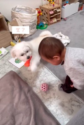 リリちゃんと赤ちゃん4