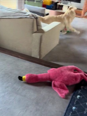 逃げ回って…
