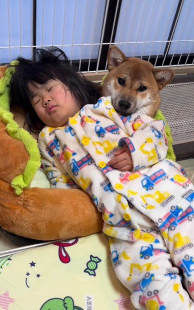 コロちゃんのサークルの中！！