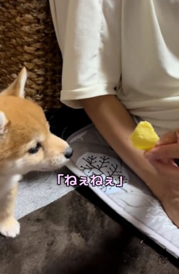 飛び立った鳥