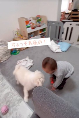 リリちゃんと赤ちゃん