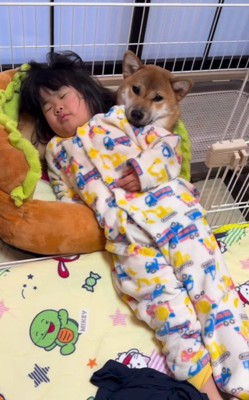 コロちゃんを枕に…！！