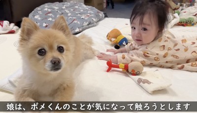 そーっと…