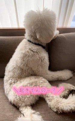 拗ねてしまったハクくん