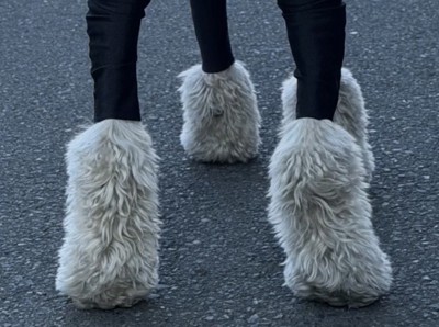 毛が残った犬の足元