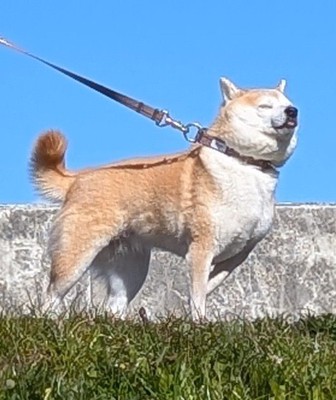 清々しさ