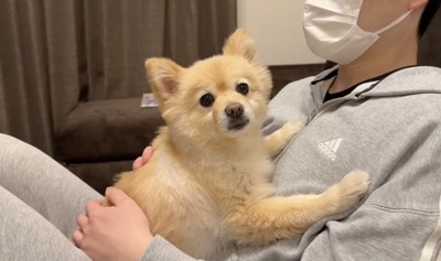 甘えモードON