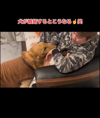 顔をよせる犬