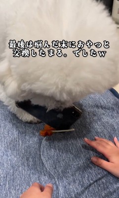 まる君VS男の子⑩