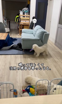 まる君VS男の子2