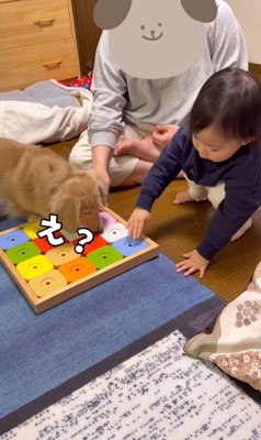 オヤツ探し開始!と思いきや…