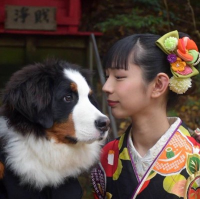 見つめ合う子犬と女性
