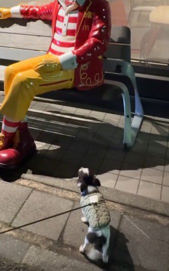 それは人じゃない！！