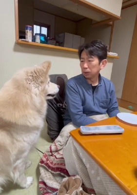 「なに？」
