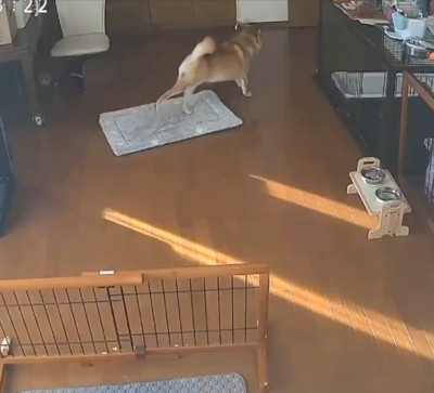 お母さん