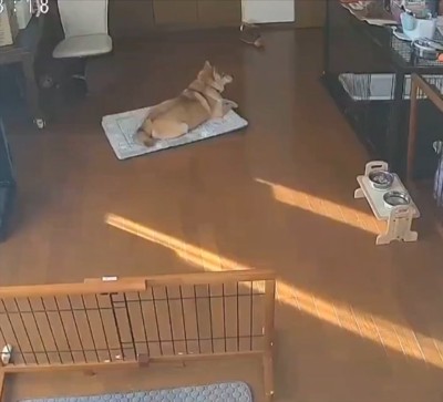 のんびり