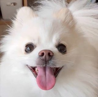 ニコニコ