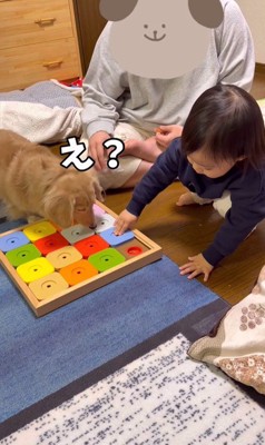赤ちゃんがパズルを動かして…