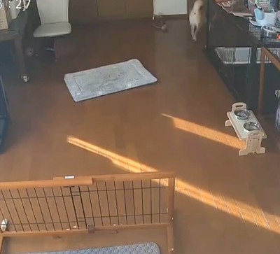 のんびり