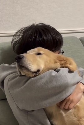 パパに抱きしめられる犬