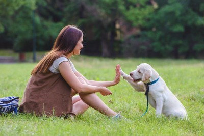 ハイタッチする女性と犬