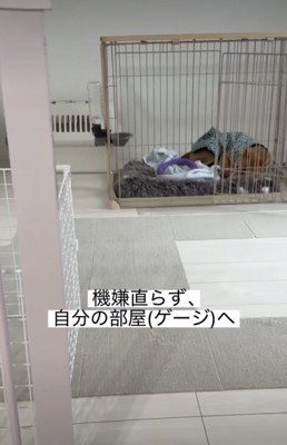 ふて寝した！