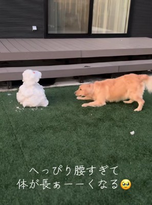 「お前は誰なんだ！！」